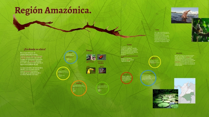 Región Amazónica. by Maria Fernanda Ordoñez Luna on Prezi