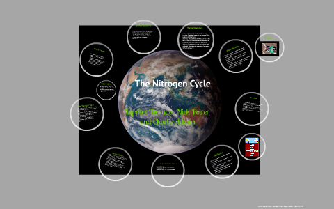 The Nitrogen Cycle by Alex Tsuruda on Prezi
