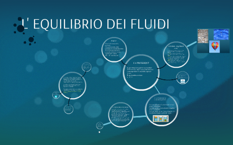 L' EQUILIBRIO DEI FLUIDI By Elena Colombo On Prezi