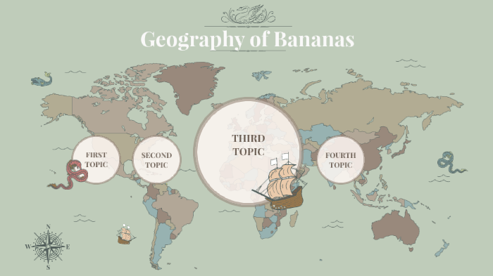 bananas case study geography a level