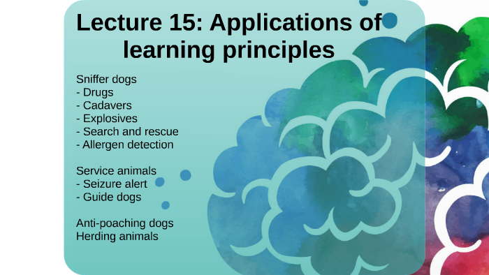 Lecture 15: Applications of learning principles by Imogen Stewart on Prezi