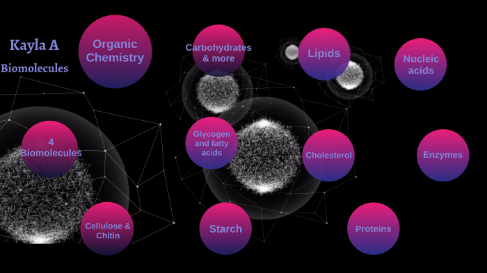 Biomolecules Prezi by Kayla Adams on Prezi