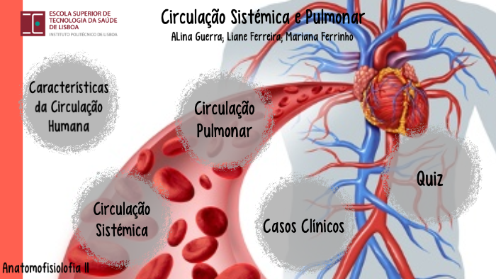 Circulação Sistémica e Pulmonar by Alina Guerra