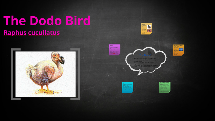 The dodo bird by hibiscus825 s. on Prezi