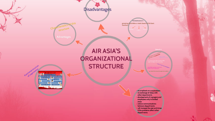Airasia Organizational Chart 2018