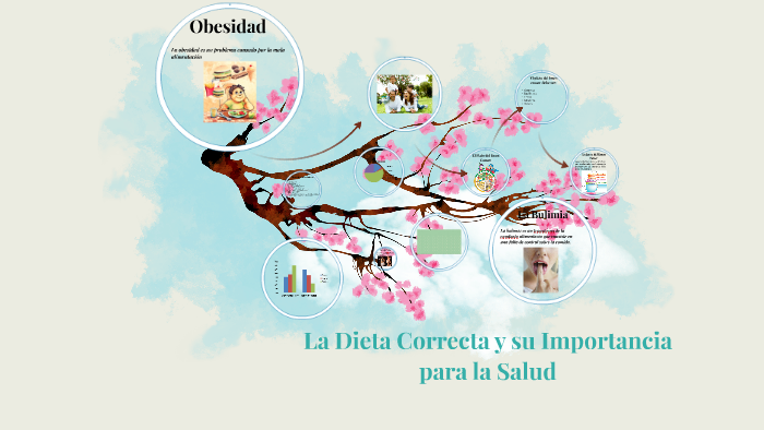 La Dieta Correcta Correcta Y Su Importancia Para La Salud By Salma Herrera 1147