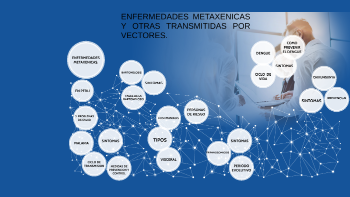 ENFERMEDADES METAXENICAS Y OTRAS TRANSMITIDAS POR VECTORES by edver rivera  romero on Prezi Next