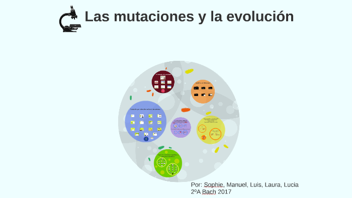 Las Mutaciones Y La Evolución By Manuel Rodríguez On Prezi