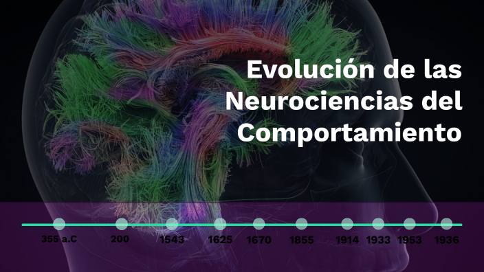 Evolución De Las Neurociencias Del Comportamiento By Angie Ximena