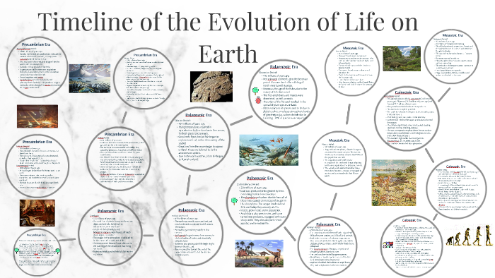 first mammals on earth timeline