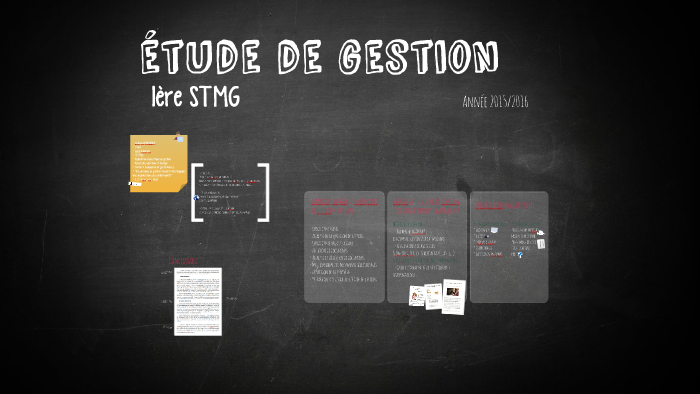 étude De Gestion Stmg Déjà Fait