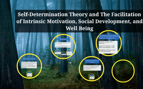 Self-Determination Theory And The Facilitation Of Intrinsic By Nancy ...