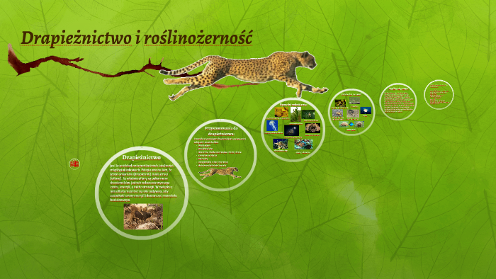 Drapieżnictwo i roślinożerność by zuzanna Zasada on Prezi