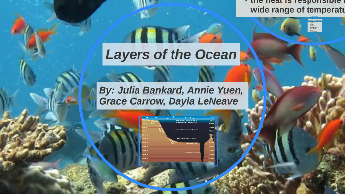 Layers of the Ocean by Julia Bankard on Prezi