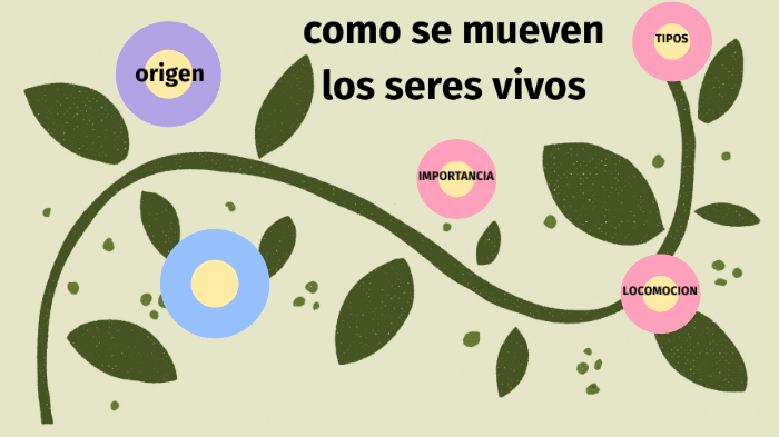 como se mueven los seres vivos by shelcy mellado on Prezi