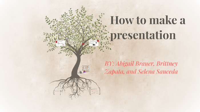 How to make a presentation by Northeast Lakeview on Prezi
