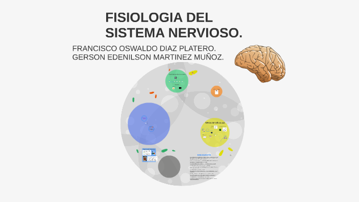 FISIOLOGIA DEL SISTEMA NERVIOSO by Erick Alexander Castro Rodriguez