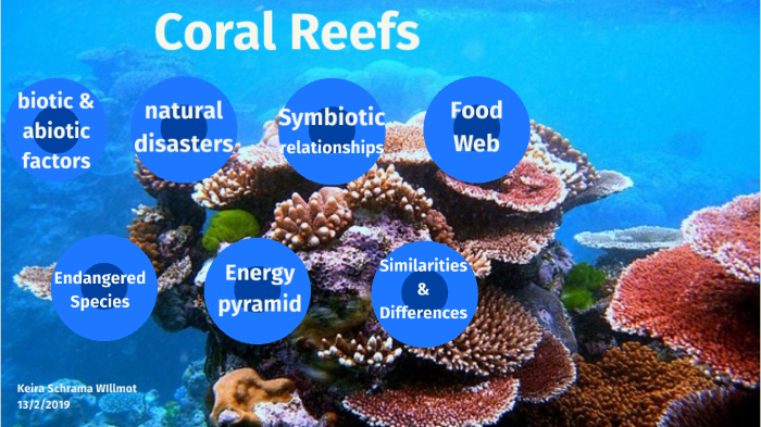 Coral Reef by Keira Schrama Willmot on Prezi