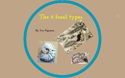 The 6 fossil types by Ivy Nguyen on Prezi Next