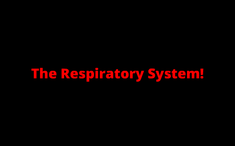 Respiratory System by jas sidhu