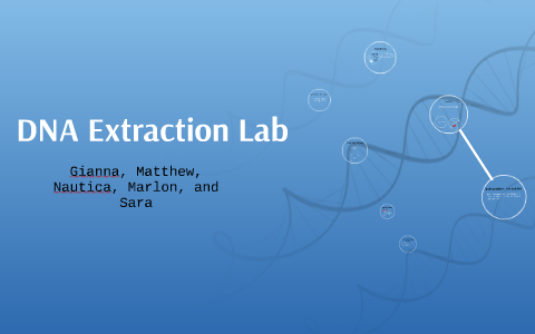 banana dna extraction lab report answers