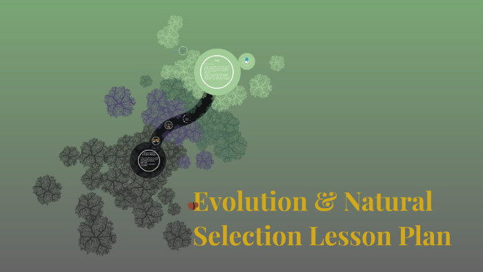 Evolution & Natural Selection Lesson Plan By Kristin Terrell On Prezi