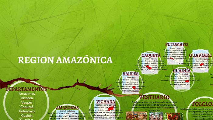 REGION AMAZONICA by juliana bravo imbachi on Prezi