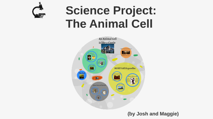 Science project animal and plant cells by Joshua C on Prezi