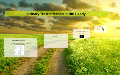 Urinary Tract Infection In The Elderly By Ana Pre   Ogtjt2pvmawcpqad4tdkds6p5d6jc3sachvcdoaizecfr3dnitcq 3 0 