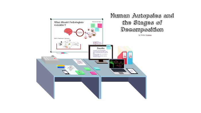 Human Autopsies and Stages of Decomposition by Richard Bramley on Prezi