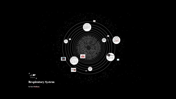 Respiratory System by Ryan Whitaker on Prezi
