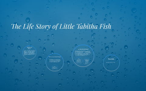 Tabitha Fish The Life Story of Little Tabitha Fish by rachel lukasek on Prezi