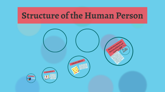 Structured Person Example Structure of the Human Person by Ashley Vandermeulen on Prezi