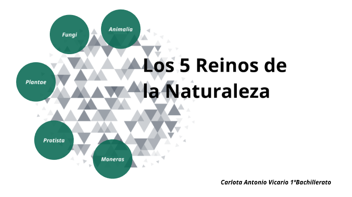 Los 5 Reinos de la Naturaleza by Carlota Antonio Vicario on Prezi