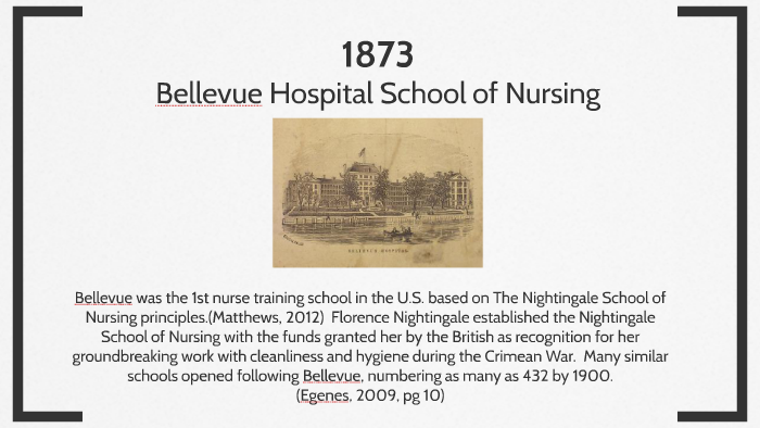 timeline-of-professional-organizations-in-nursing-by-joeline-riley