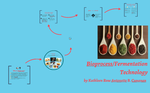 Bioprocess/ Fermentation Technology by Kathleen Rose Cunanan on Prezi