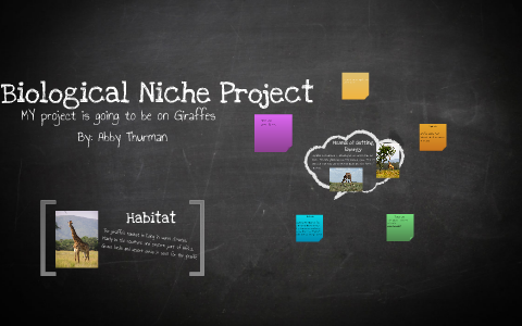 Biological Niche Project by Abby Thurman on Prezi