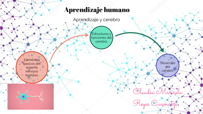 aprendizaje y cerebro by Claudín Claudín on Prezi