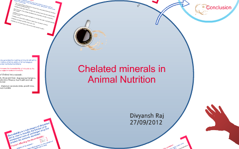 Mineral Chelation in Animal Nutrition by DIVYANSH RAJ