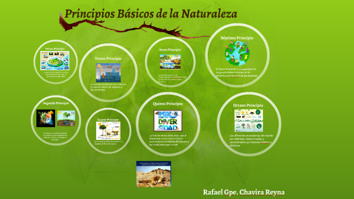 Los 8 Principios De La Naturaleza prezi.com