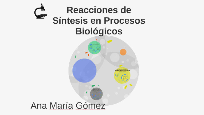 Reacciones de Síntesis en Procesos Biológicos by Aniima gosa on Prezi