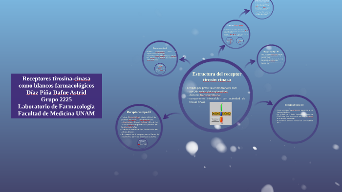 mapa del receptor de tirosina quinasa