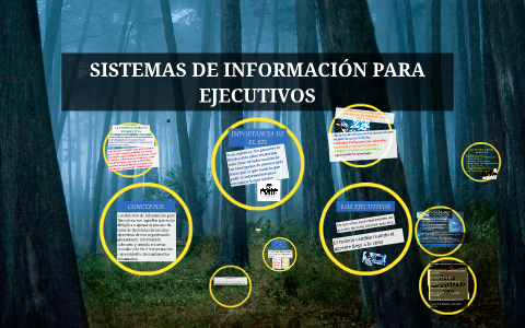 SISTEMAS DE INFORMACIÓN FINANCIERA By On Prezi