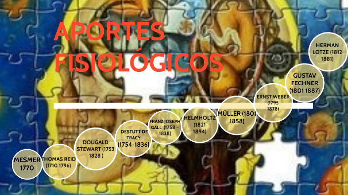 APORTES FISIOLÓGICOS By Yessenia Llerena On Prezi