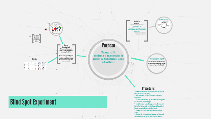 blind spot experiment