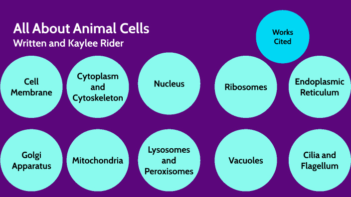 All About Animal Cells by Kaylee Rider on Prezi