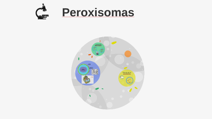 Perixomas Peroxisomas by Carolina Herrera on Prezi