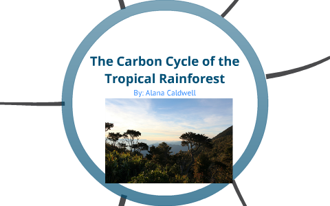 The Carbon cycle by Alana Grace on Prezi