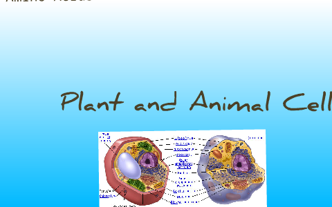 Plant and Animal Cell Project by Alexander Posipanko on Prezi