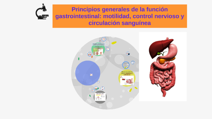 principios generales de la funcion gastrointestinal: motilid by